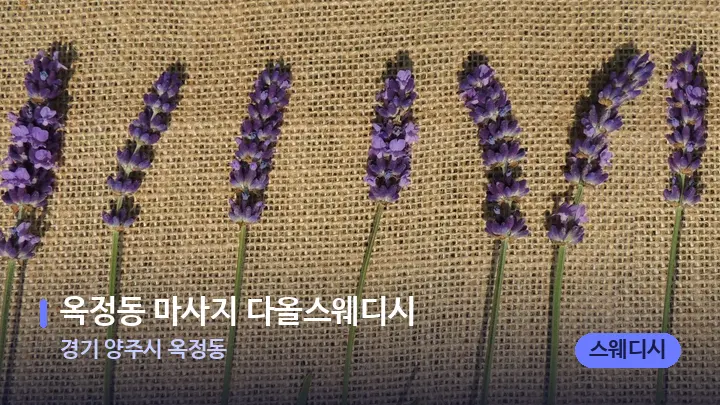 경기 양주시 옥정동 옥정동 마사지 다올스웨디시 — 아로마테라피 오일