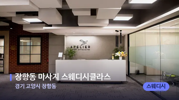 경기 고양시 장항동 장항동 마사지 스웨디시클라스 — 스파 프런트 공간