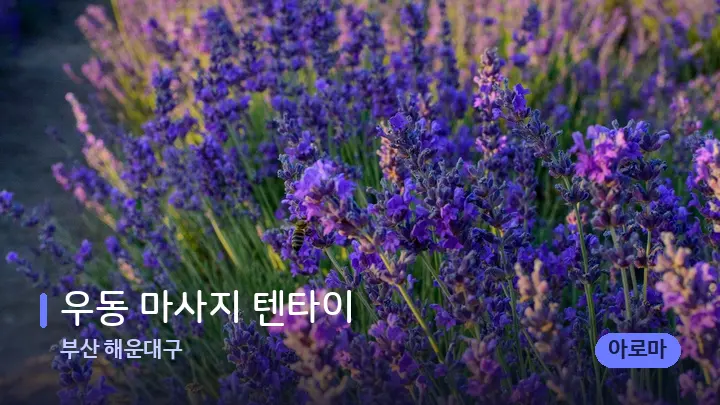 부산 해운대구 우동 마사지 텐타이 — 아로마테라피 오일