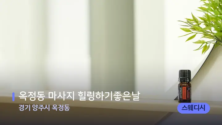 경기 양주시 옥정동 옥정동 마사지 힐링하기좋은날 — 아로마테라피 오일