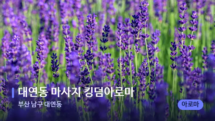부산 남구 대연동 대연동 마사지 킹덤아로마 — 아로마테라피 오일