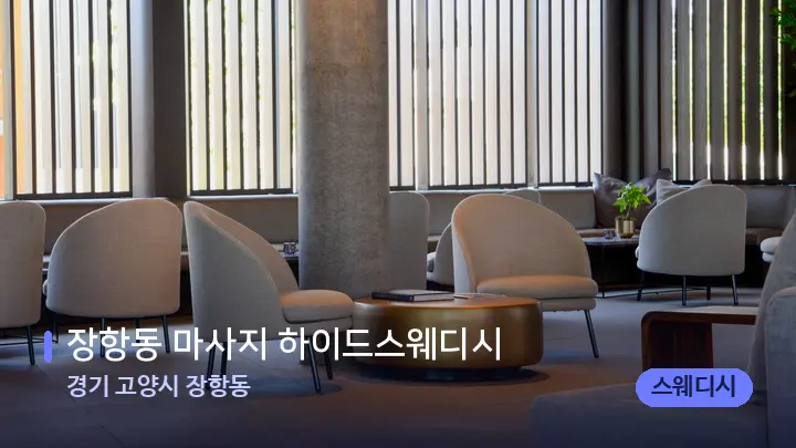 경기 고양시 장항동 장항동 마사지 하이드스웨디시 — 스파 프런트 공간