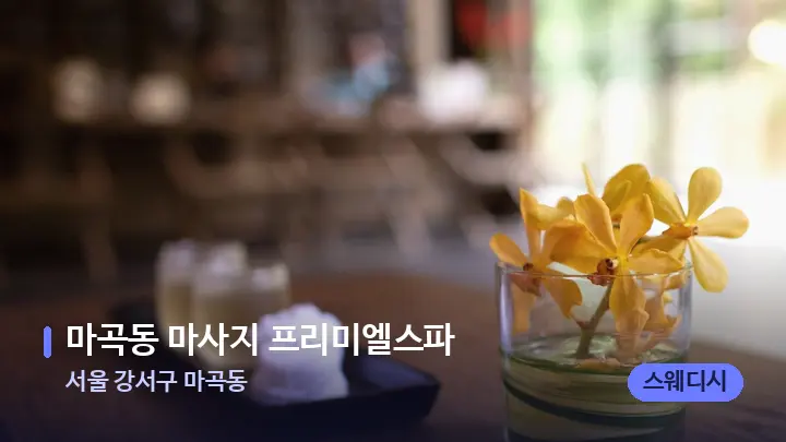 서울 강서구 마곡동 마곡동 마사지 프리미엘스파 — 스파 프런트 공간