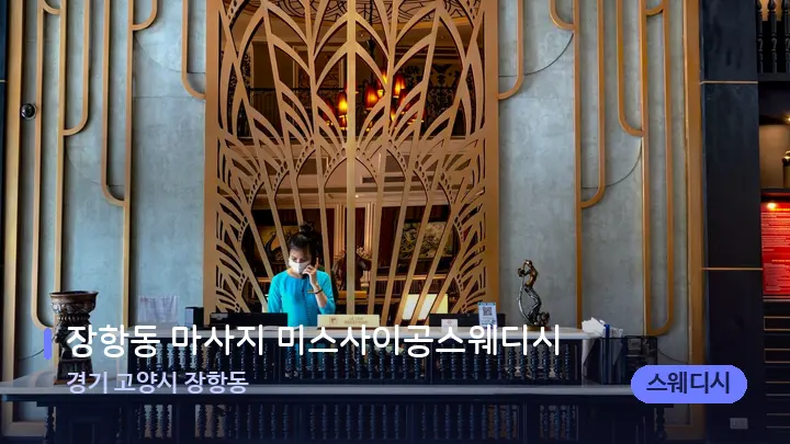 경기 고양시 장항동 장항동 마사지 미스사이공스웨디시 — 스파 프런트 공간