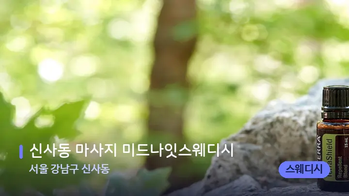 서울 강남구 신사동 신사동 마사지 미드나잇스웨디시 — 아로마테라피 오일