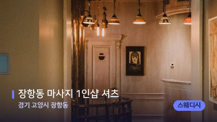 경기 고양시 장항동 장항동 마사지 1인샵 셔츠 — 스파 프런트 공간