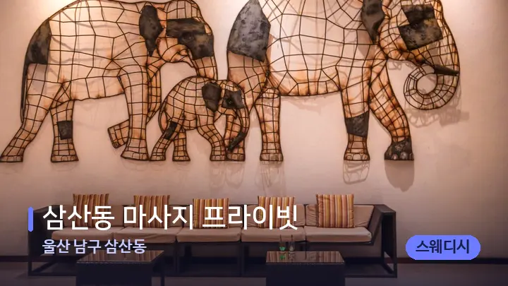 울산 남구 삼산동 삼산동 마사지 프라이빗 — 스파 프런트 공간
