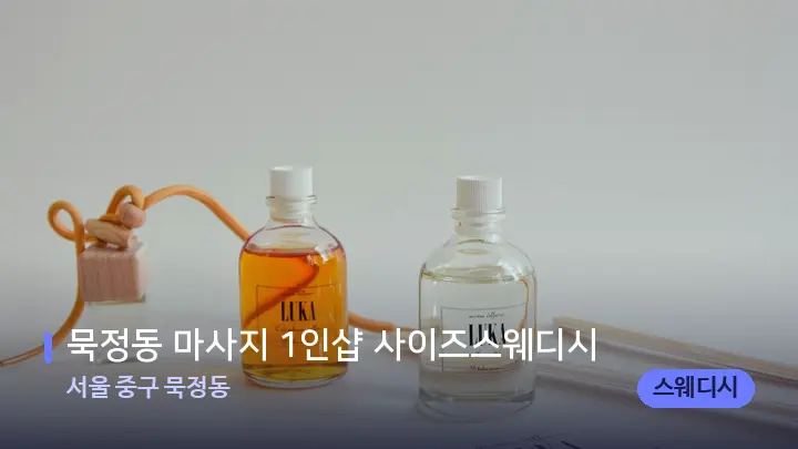 서울 중구 묵정동 묵정동 마사지 1인샵 사이즈스웨디시 — 웰니스 스파 공간