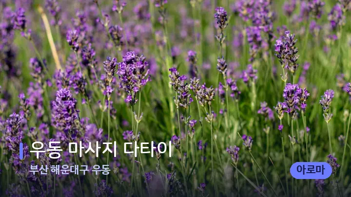 부산 해운대구 우동 우동 마사지 다타이 — 아로마테라피 오일