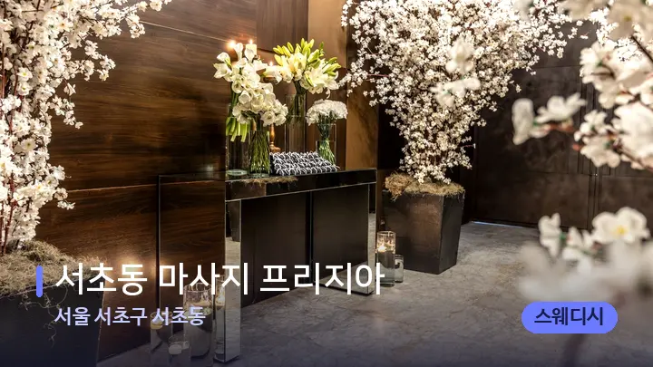 서울 서초구 서초동 서초동 마사지 프리지아 — 스파 프런트 공간