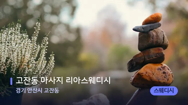 경기 안산시 고잔동 고잔동 마사지 리아스웨디시 — 마사지용 스톤