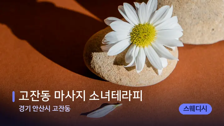 경기 안산시 고잔동 고잔동 마사지 소녀테라피 — 마사지용 스톤