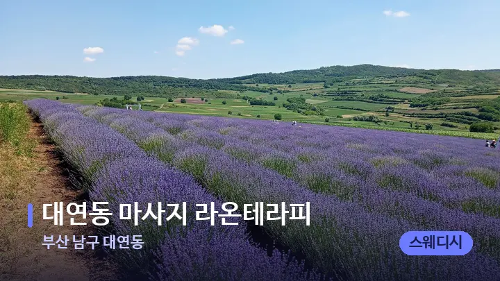 부산 남구 대연동 대연동 마사지 라온테라피 — 아로마테라피 오일