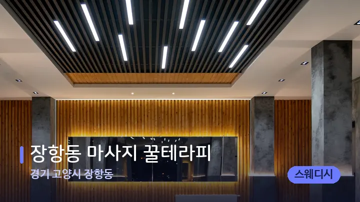 경기 고양시 장항동 장항동 마사지 꿀테라피 — 스파 프런트 공간
