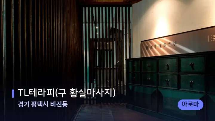 경기 평택시 비전동 TL테라피(구 황실마사지) — 스파 프런트 공간