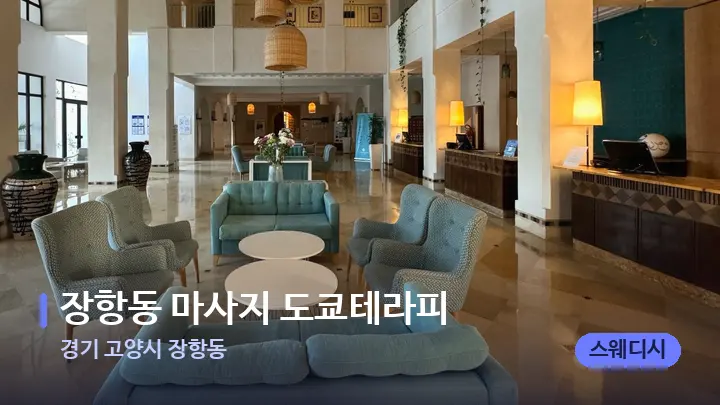 경기 고양시 장항동 장항동 마사지 도쿄테라피 — 스파 프런트 공간