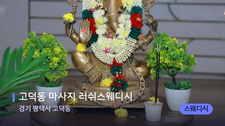 경기 평택시 고덕동 고덕동 마사지 러쉬스웨디시 — 스파 프런트 공간