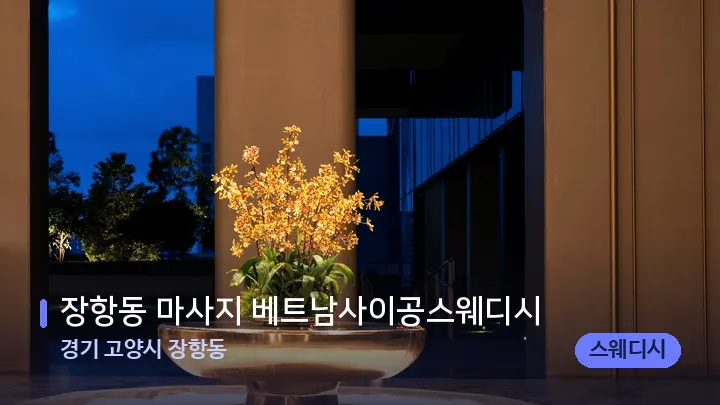 경기 고양시 장항동 장항동 마사지 베트남사이공스웨디시 — 스파 프런트 공간