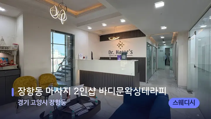 경기 고양시 장항동 장항동 마사지 2인샵 바디문왁싱테라피 — 스파 프런트 공간
