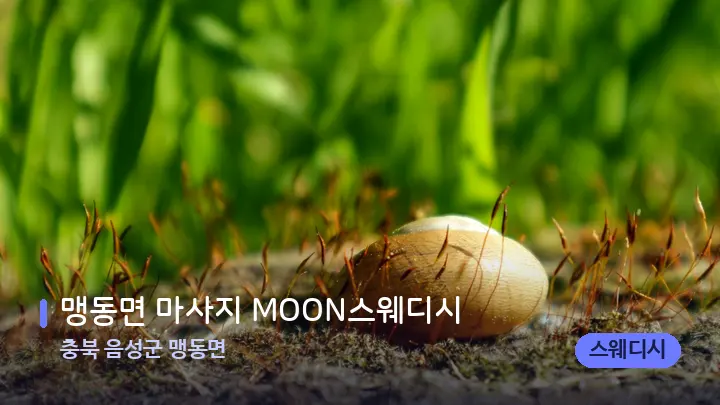 충북 음성군 맹동면 맹동면 마사지 MOON스웨디시 — 마사지용 스톤