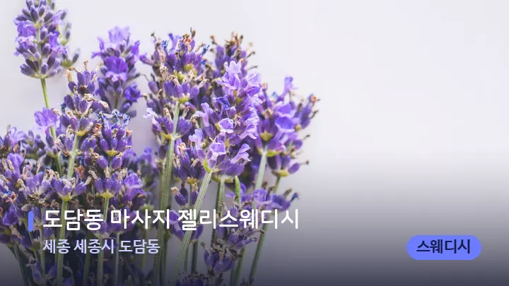 세종 세종시 도담동 도담동 마사지 젤리스웨디시 — 아로마테라피 오일