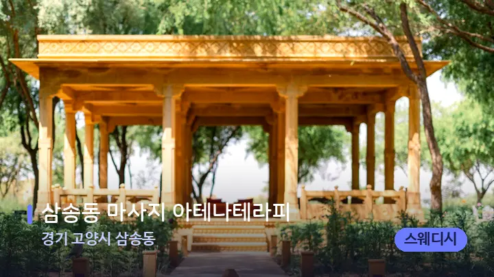 경기 고양시 삼송동 삼송동 마사지 아테나테라피 — 스파 프런트 공간
