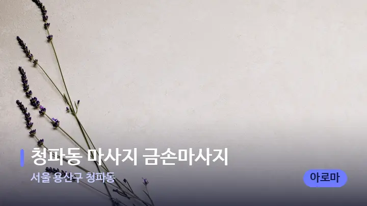 서울 용산구 청파동 청파동 마사지 금손마사지 — 아로마테라피 오일
