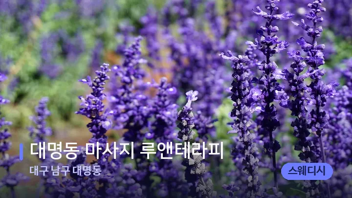 대구 남구 대명동 대명동 마사지 루앤테라피 — 아로마테라피 오일
