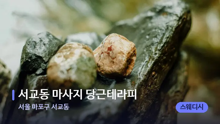 서울 마포구 서교동 서교동 마사지 당근테라피 — 마사지용 스톤