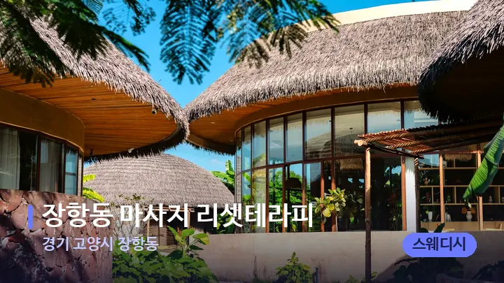 경기 고양시 장항동 장항동 마사지 리셋테라피 — 스파 프런트 공간