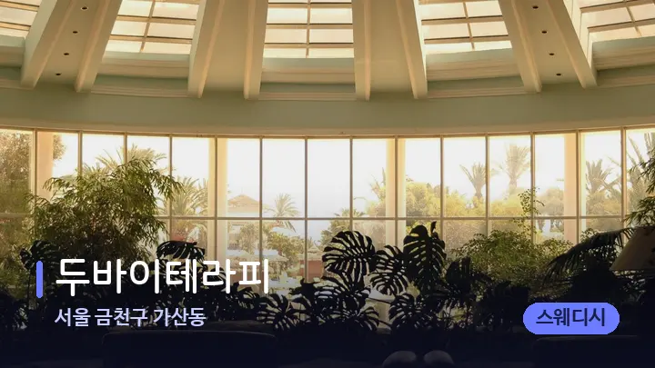 서울 금천구 가산동 두바이테라피 — 스파 프런트 공간