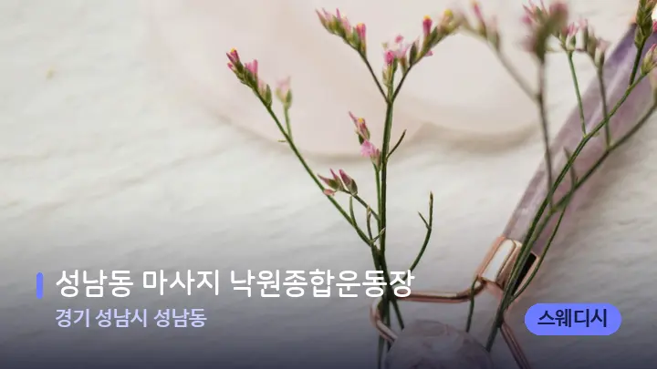 경기 성남시 성남동 성남동 마사지 낙원종합운동장 — 마사지용 스톤