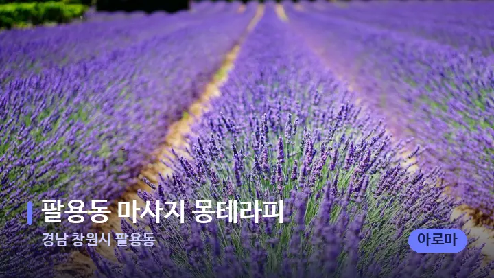 경남 창원시 팔용동 팔용동 마사지 몽테라피 — 아로마테라피 오일
