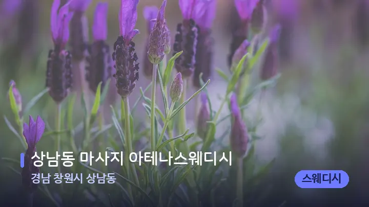 경남 창원시 상남동 상남동 마사지 아테나스웨디시 — 아로마테라피 오일