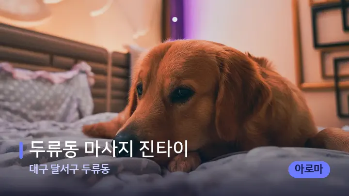대구 달서구 두류동 두류동 마사지 진타이 — 휴식 분위기의 스파 베드