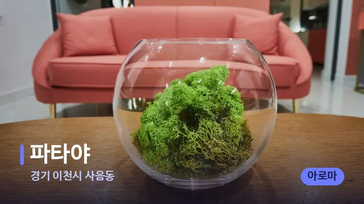 경기 이천시 사음동 파타야 — 스파 프런트 공간