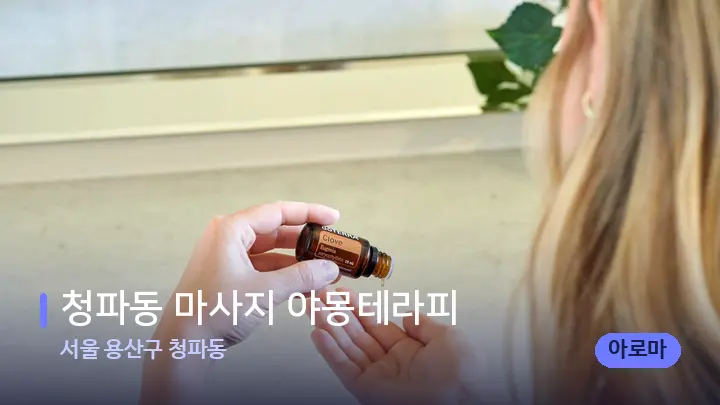 서울 용산구 청파동 청파동 마사지 야몽테라피 — 아로마테라피 오일