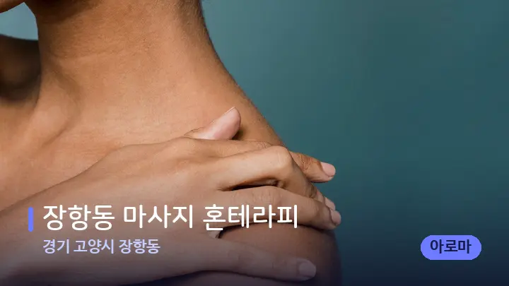 경기 고양시 장항동 장항동 마사지 혼테라피 — 어깨를 다루는 관리사의 손
