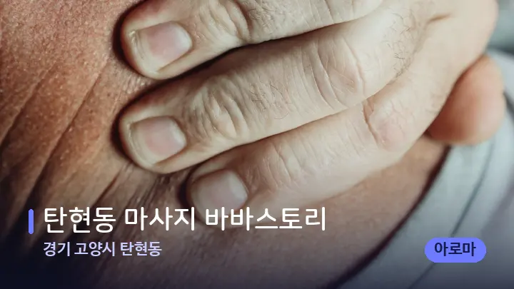 경기 고양시 탄현동 탄현동 마사지 바바스토리 — 어깨를 다루는 관리사의 손