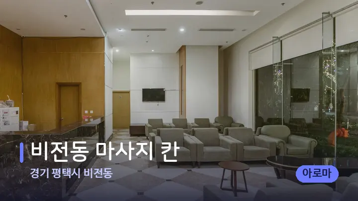 경기 평택시 비전동 비전동 마사지 칸 — 스파 프런트 공간