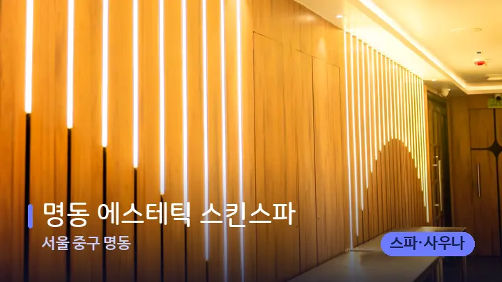 서울 중구 명동 명동 에스테틱 스킨스파 — 웰니스 스파 공간