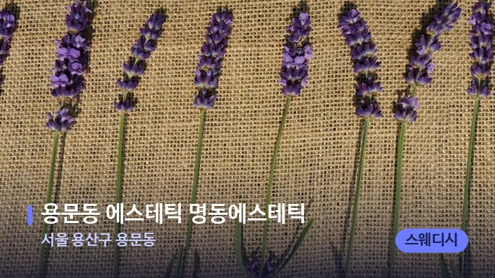 서울 용산구 용문동 용문동 에스테틱 명동에스테틱 — 아로마테라피 오일