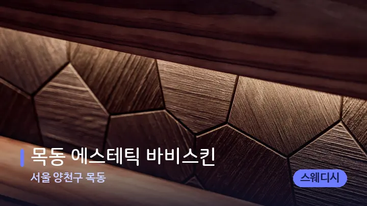 서울 양천구 목동 목동 에스테틱 바비스킨 — 웰니스 스파 공간