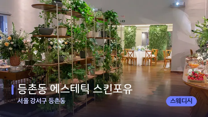 서울 강서구 등촌동 등촌동 에스테틱 스킨포유 — 스파 프런트 공간