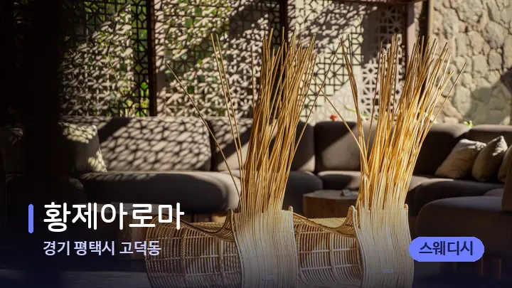 경기 평택시 고덕동 황제아로마 — 스파 프런트 공간