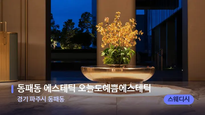 경기 파주시 동패동 동패동 에스테틱 오늘도예쁨에스테틱 — 스파 프런트 공간