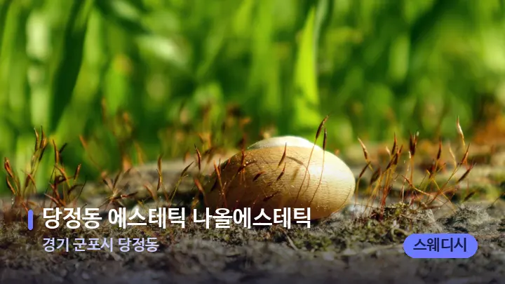 경기 군포시 당정동 당정동 에스테틱 나올에스테틱 — 마사지용 스톤