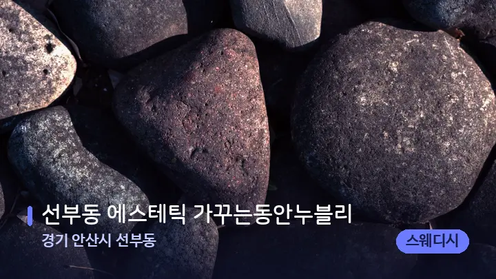 경기 안산시 선부동 선부동 에스테틱 가꾸는동안누블리 — 마사지용 스톤