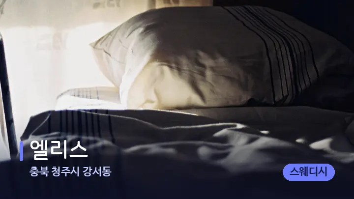 충북 청주시 강서동 엘리스 — 휴식 분위기의 스파 베드