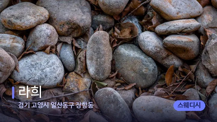 경기 고양시 일산동구 장항동 라희 — 마사지용 스톤